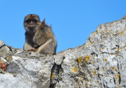Malaga a Gibraltar – kontrasty Stredomoria letecky