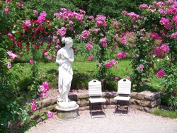 Badenské dni ruží v Baden bei Wien