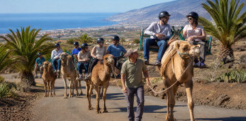 Tenerife – ostrov sopiek a oceánu