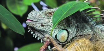 2-dňový zájazd do Budapešti