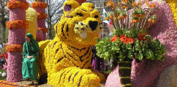 Zájazd do Holandska s návštevou korza Bloemen Corso