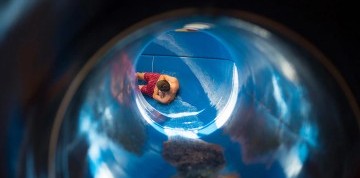 Aquapark a kúpele Aquarius v Nyiregyháza