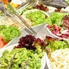 ABACUS Tierpark Hotel 4****