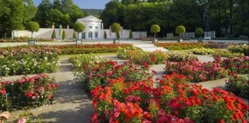 Badenské dni ruží v Baden bei Wien