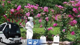 Badenské dni ruží v Baden bei Wien