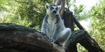 Zájazd do ZOO v Nyiregyháza