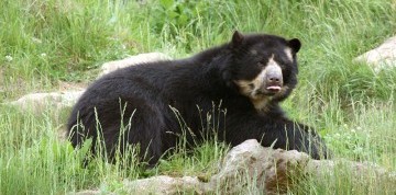 Deň na zámku Herberstein s návštevou ZOO