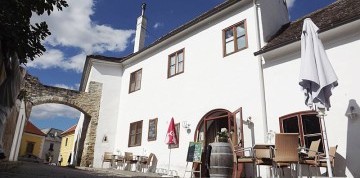 Husacie hody a skanzen v Burgenlande