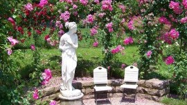 Badenské dni ruží v Baden bei Wien