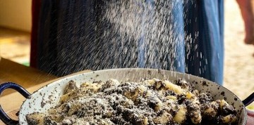 Jednodňový zájazd do Makovej dedinky a na zámok Artstetten