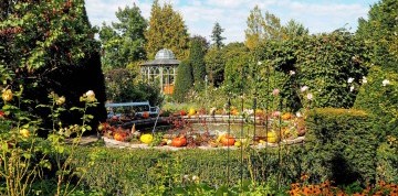 Sokoliarska show na zámku Rosenburg a Kittenbergské záhrady