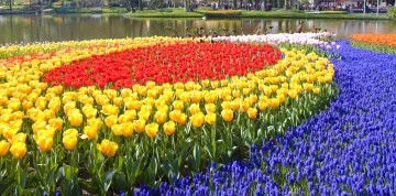 Letecký zájazd do Amsterdamu a výstava kvetín v Keukenhofe