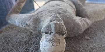 Letecký zájazd do slnečnej Kampánie