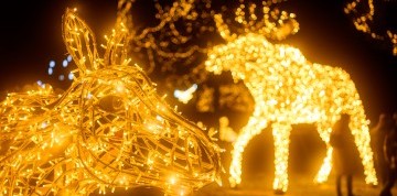 Advent v Ostrihome a Svetelná pevnosť Komárno