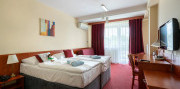 Hotel Senec ****