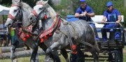Furmanske preteky na Masarykovom dvore 2026