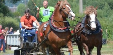Furmanske preteky na Masarykovom dvore 2026