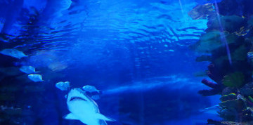 2-dňový zájazd do Budapešti