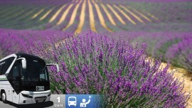 Levanduľové týždne v Tihany