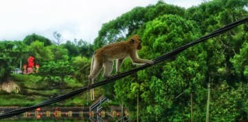 Maurícius – pláže, rum a farebná zem Chamarel