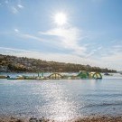 Maslinica Resort - Hotely Narcis/Hedera/Mimosa Lido Palace 4****