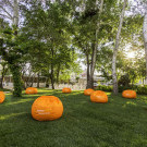 Garden Nevis Hotel