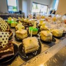 Hotel Castello Boutique resort and Spa