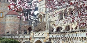 Kráľovský Székesfehérvár a Bory Vár