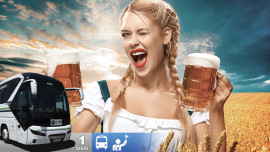 Pivný festival vo Viedni