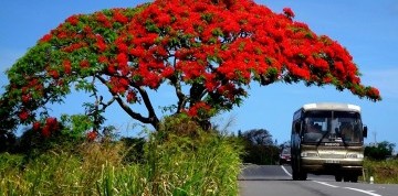 Maurícius – pláže, rum a farebná zem Chamarel